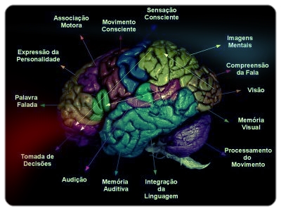 mapa das emoções do cérebro